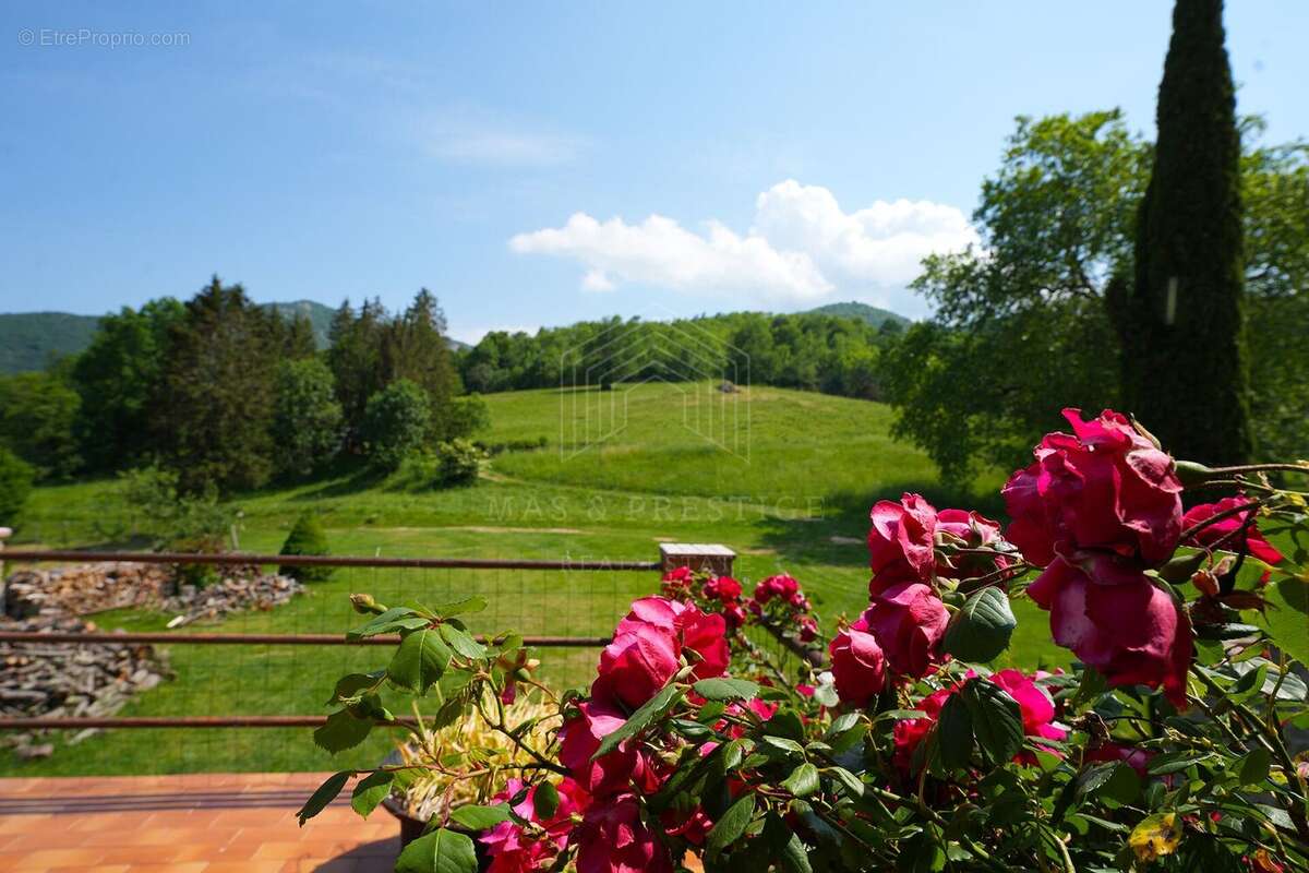 Exceptionnelle propriété de plus de 54 hectares – Vue panoramiqu - photo 15