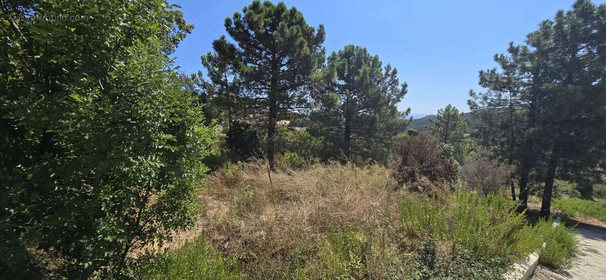 Terrain de 2000 m² avec permis purgé - photo 18