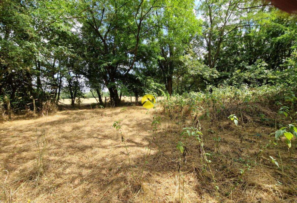 Terrain constructible de 2505 m² - photo 4