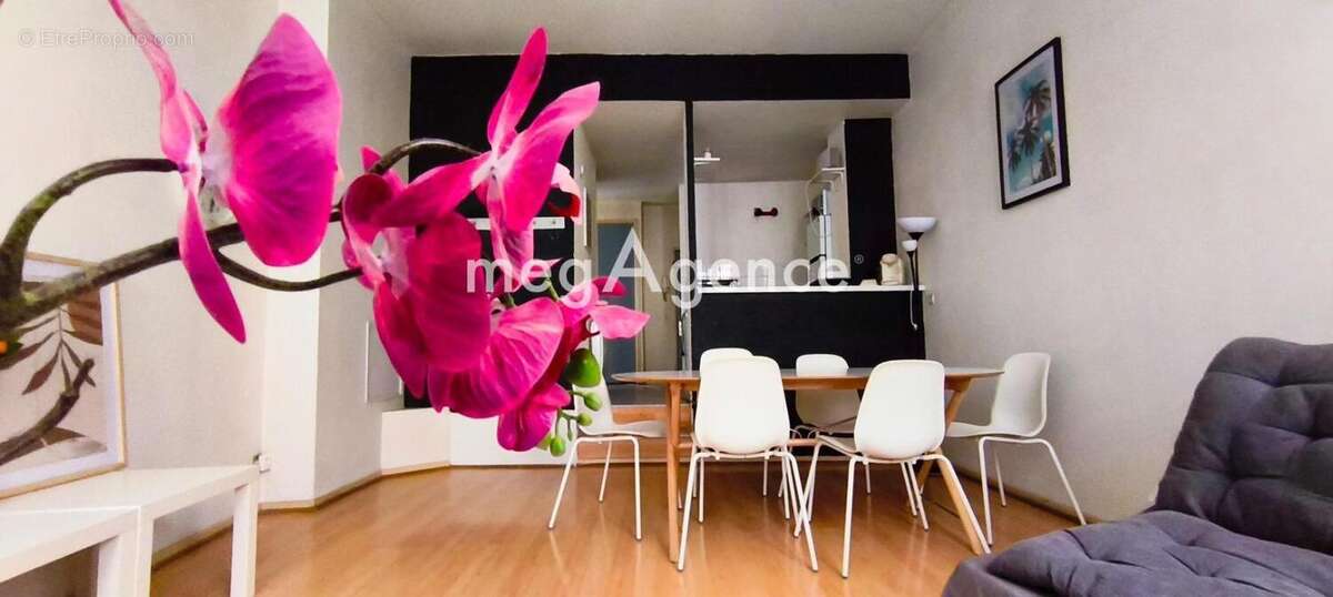 Appartement à AVIGNON