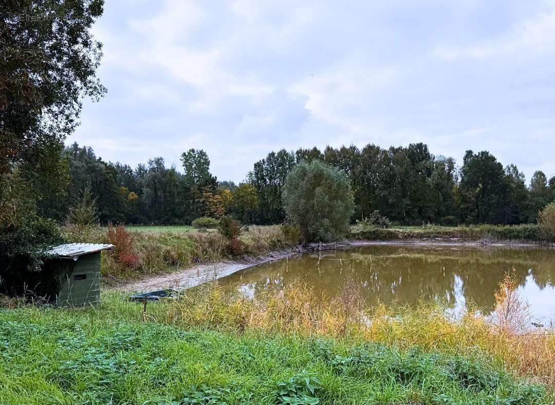 Terrain à WANDIGNIES-HAMAGE