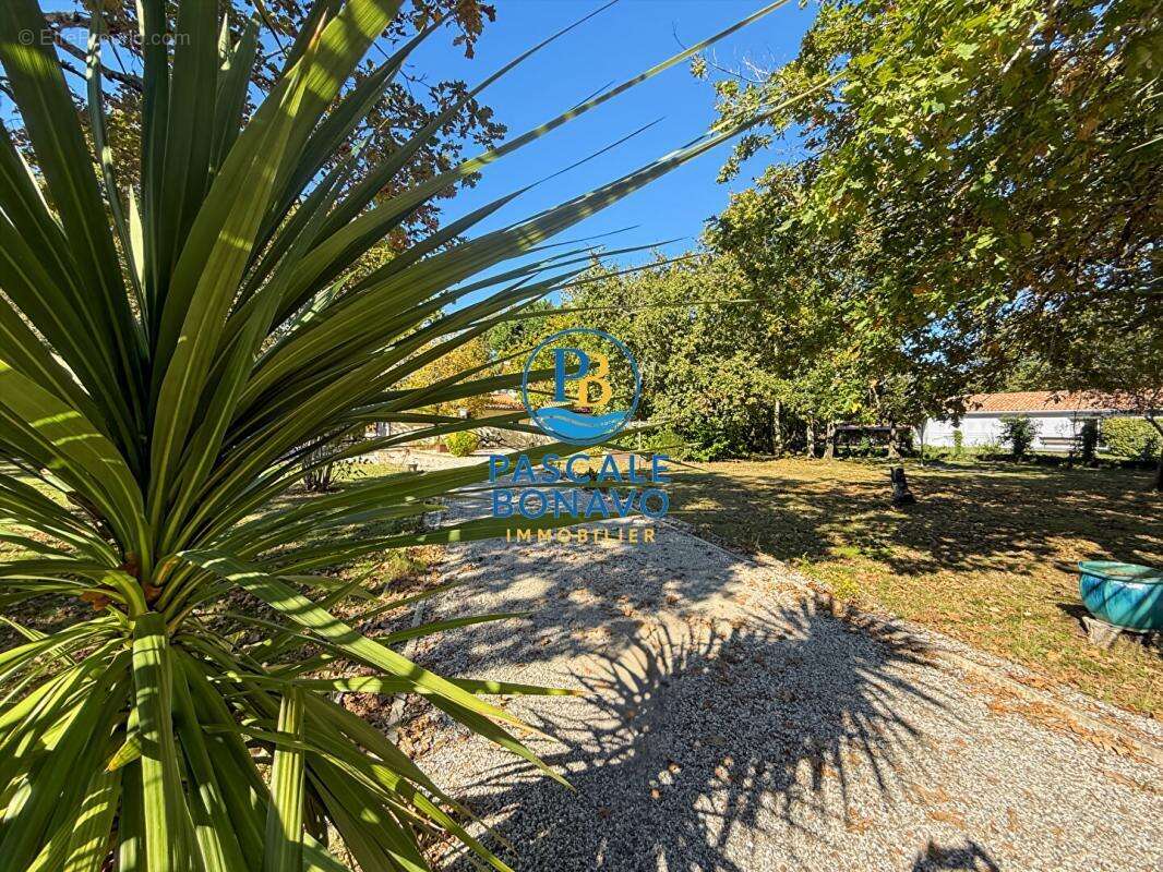 Maison à VENDAYS-MONTALIVET