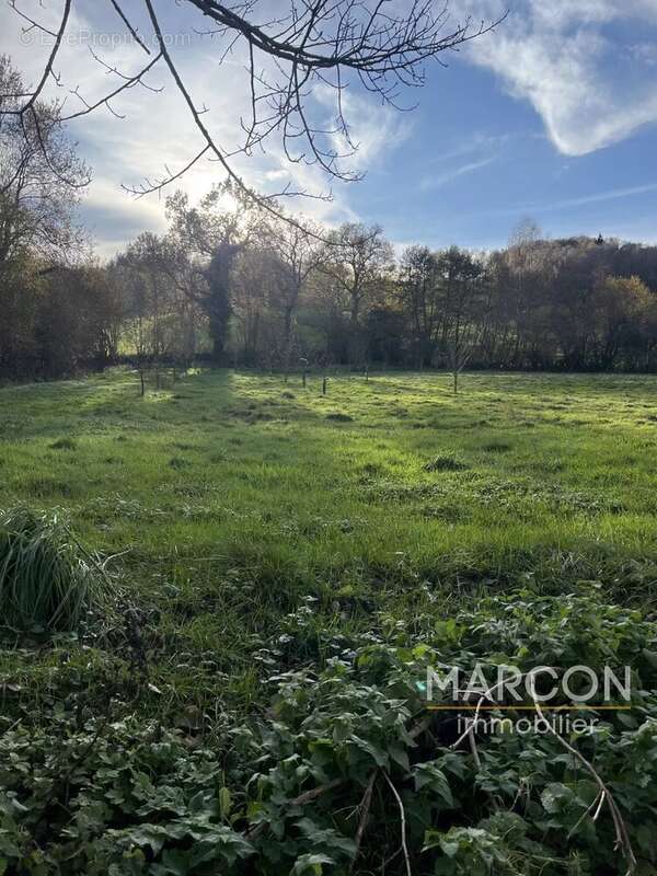 Maison à SAINT-QUENTIN-LA-CHABANNE