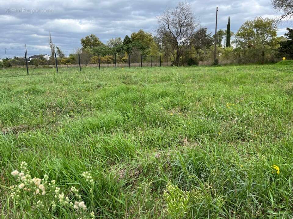Terrain à MONTELIMAR
