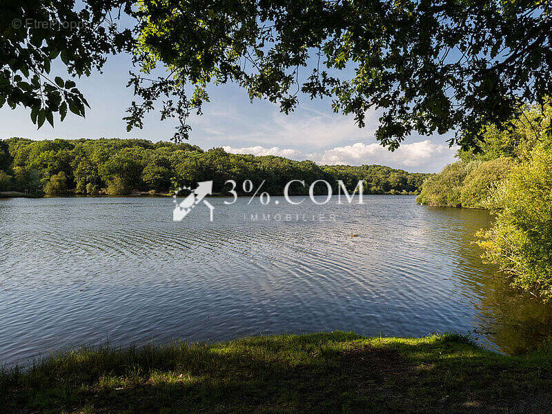 Terrain à SAVENAY