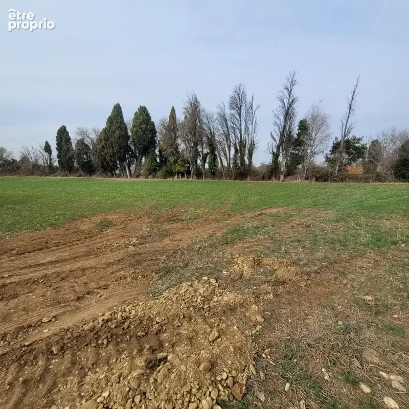 Terrain 675 m² à Saint-Martin-De-Crau  - photo 2