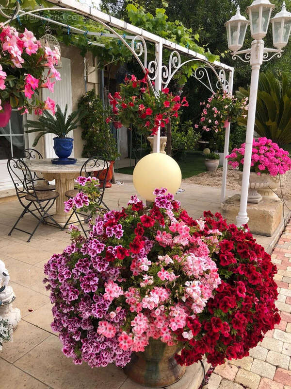 Maison à BELLEGARDE