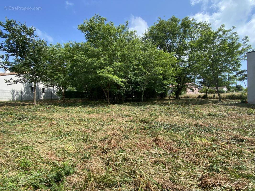 Terrain à JARD-SUR-MER