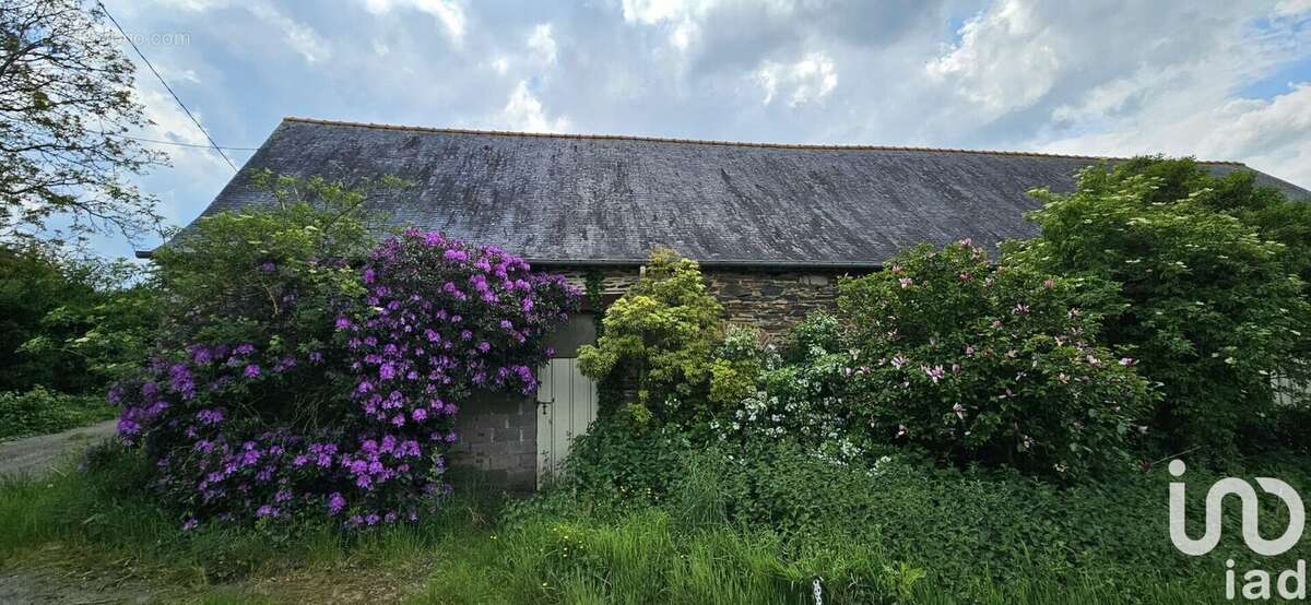 Photo 3 - Maison à VITRE