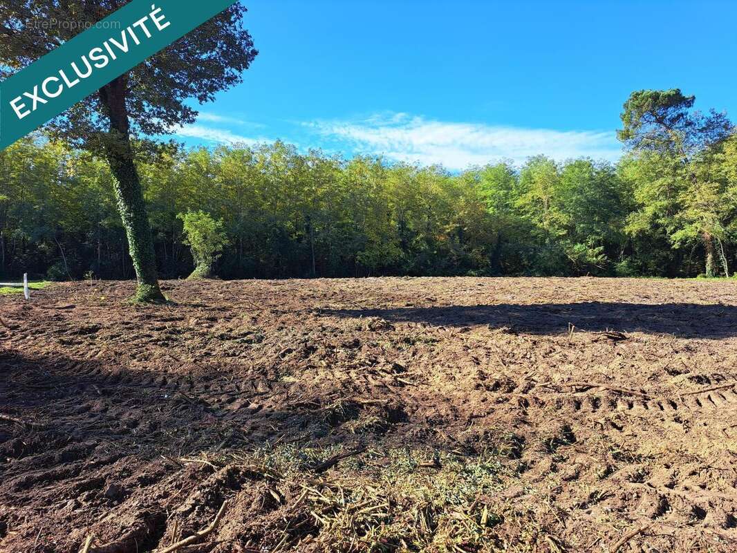 Photo 7 - Terrain à ROQUEFORT