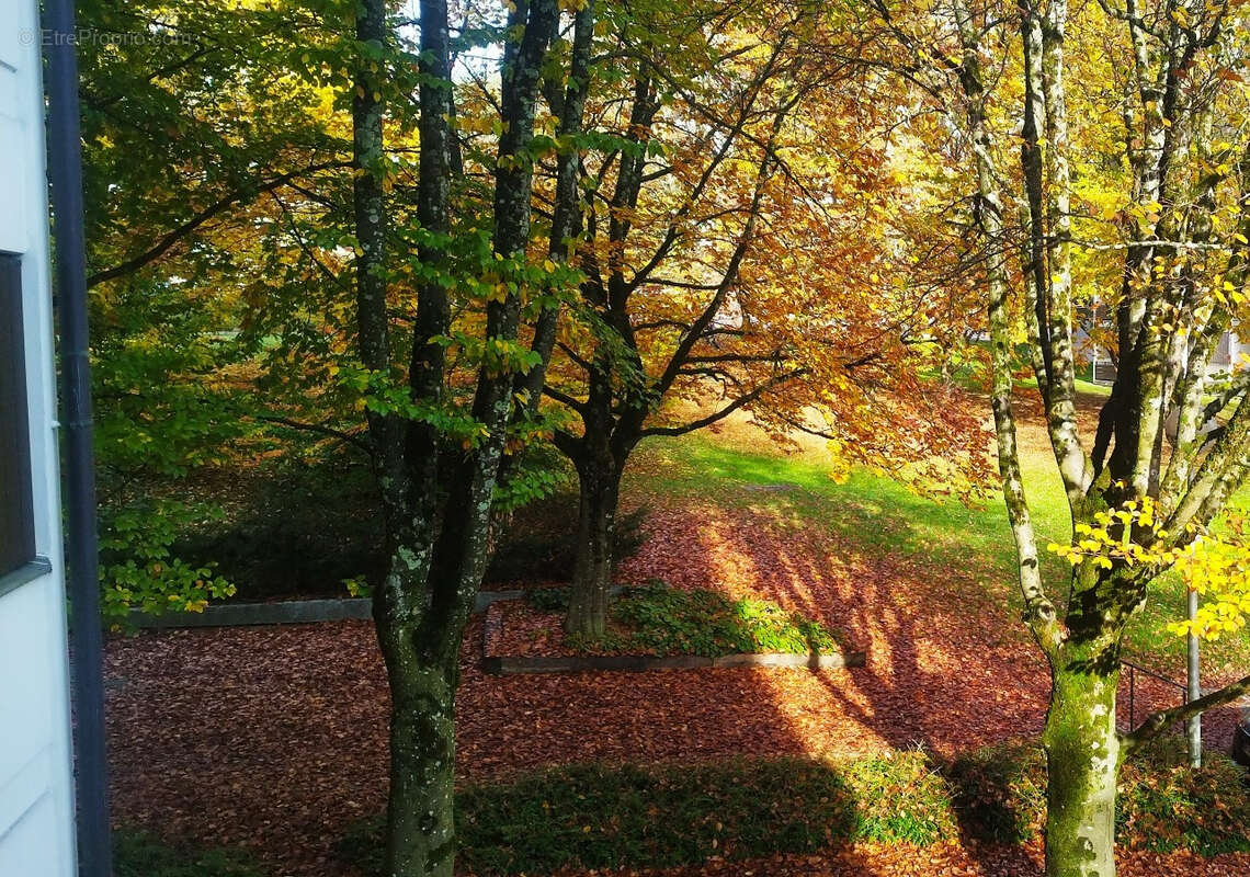 Appartement à QUINTAL