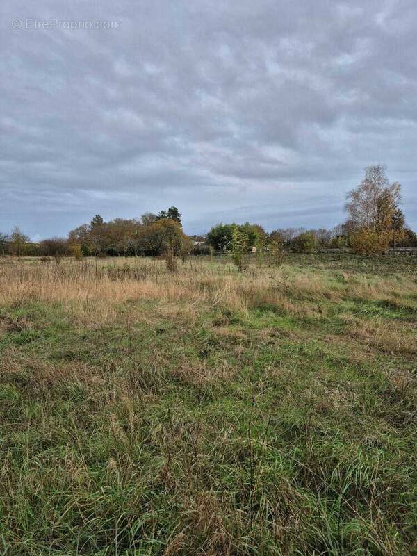 Terrain à FOUSSIGNAC