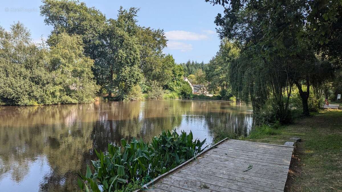Terrain à LIGNOL