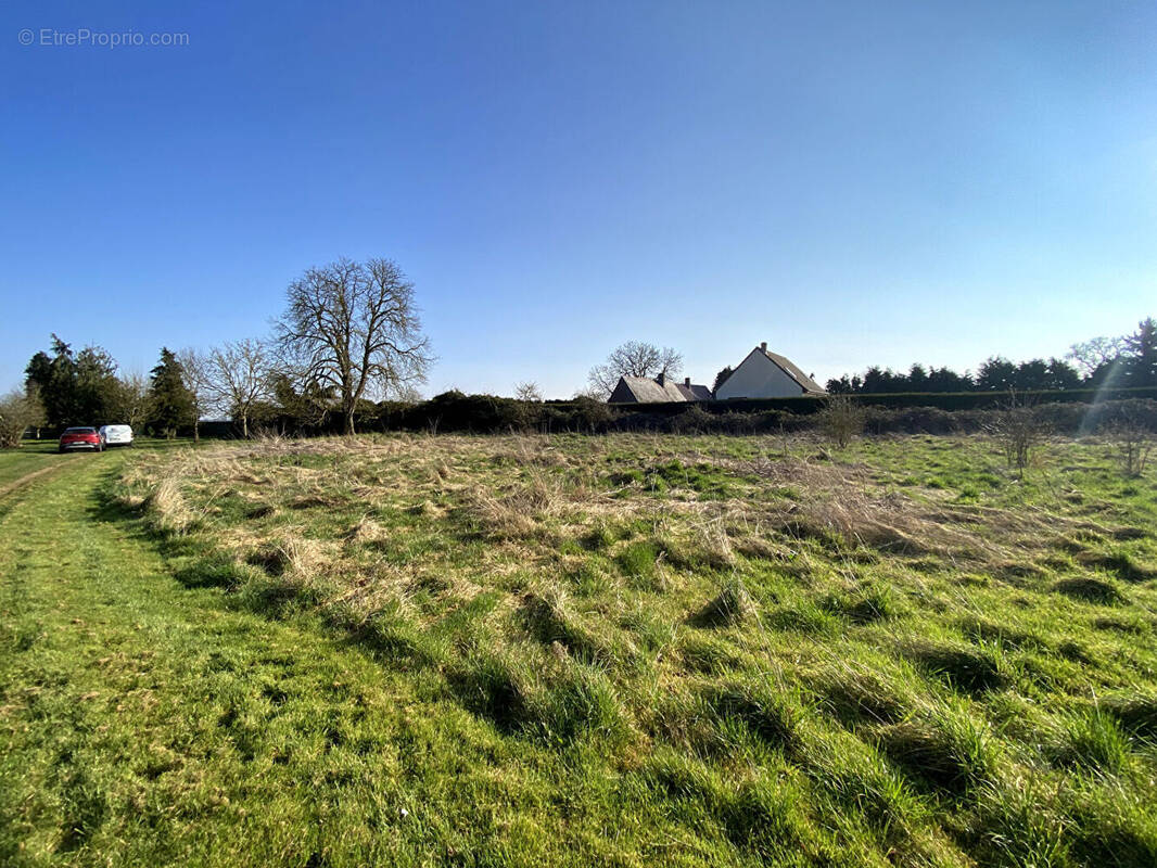 Terrain à BERNIENVILLE