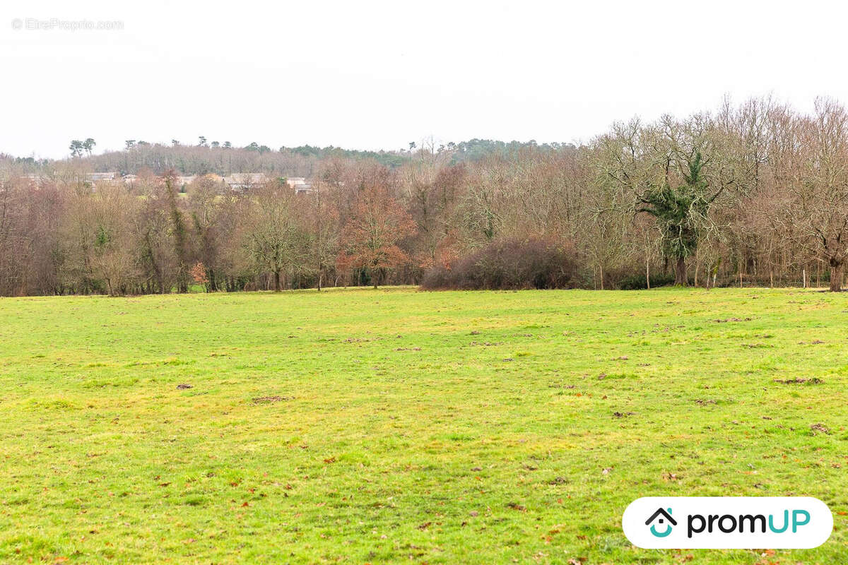 Terrain à BOISREDON