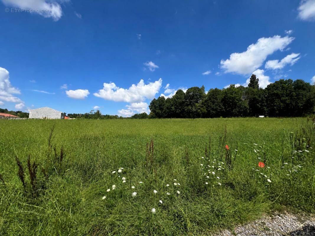 Terrain à LIMOGES