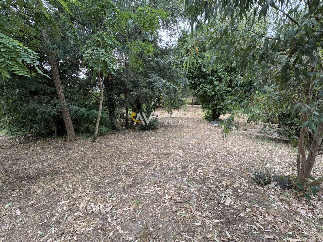Terrain à GRIMAUD