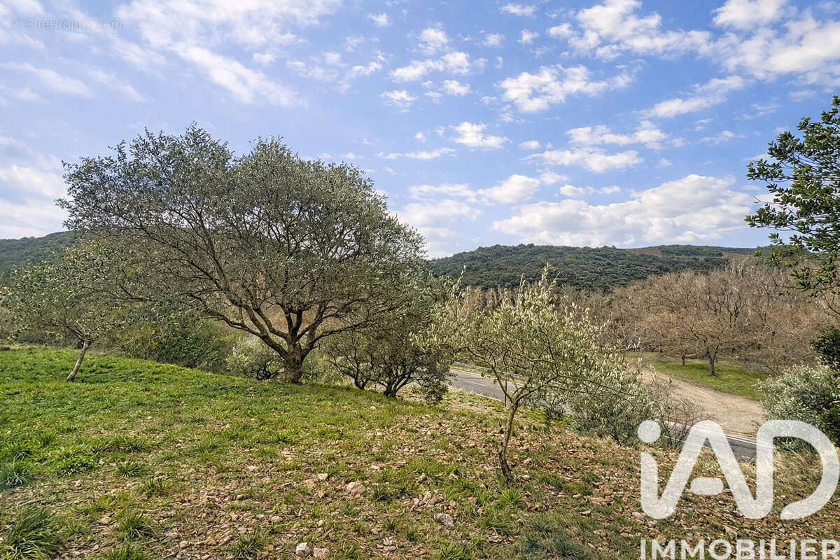 Photo 4 - Terrain à ROQUEBRUN