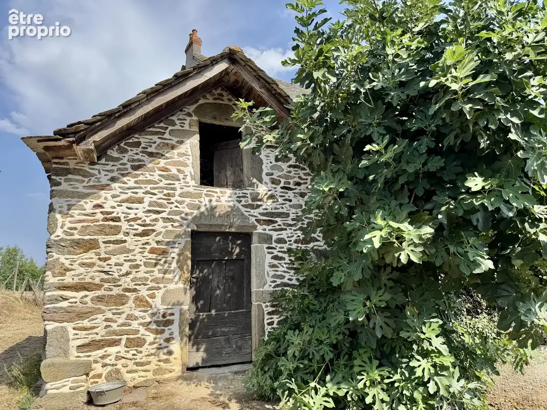 Rieupeyroux – Maison en pierre avec granges et 1,9 ha - photo 3