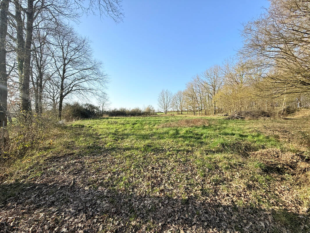 Terrain à VIERZON