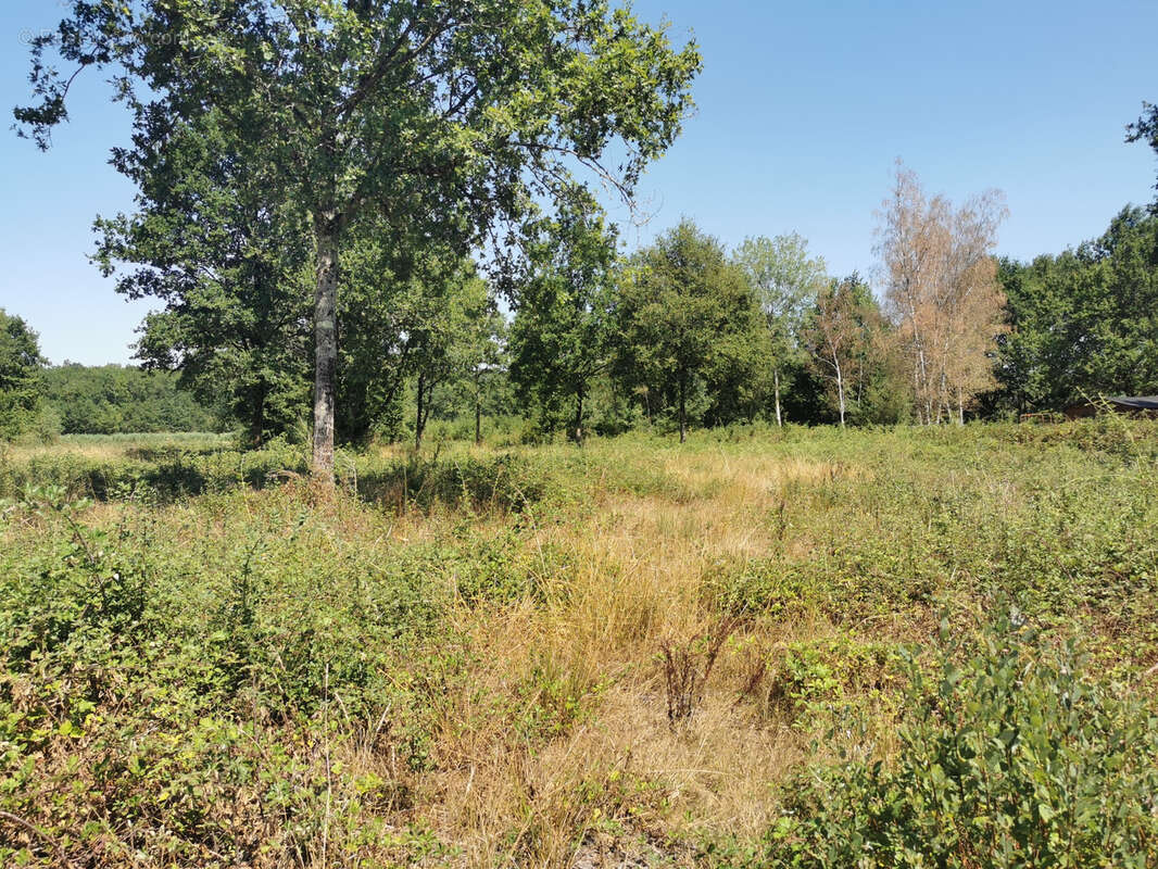 Beau terrain constructible avec vue sur étang - photo 2