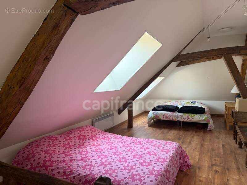 Maison à vendre 6 pièces ESCOLIVES SAINTE CAMILLE (89) de 211 M2 chambres Cave Dépendances  Terrain  Étang - photo 12