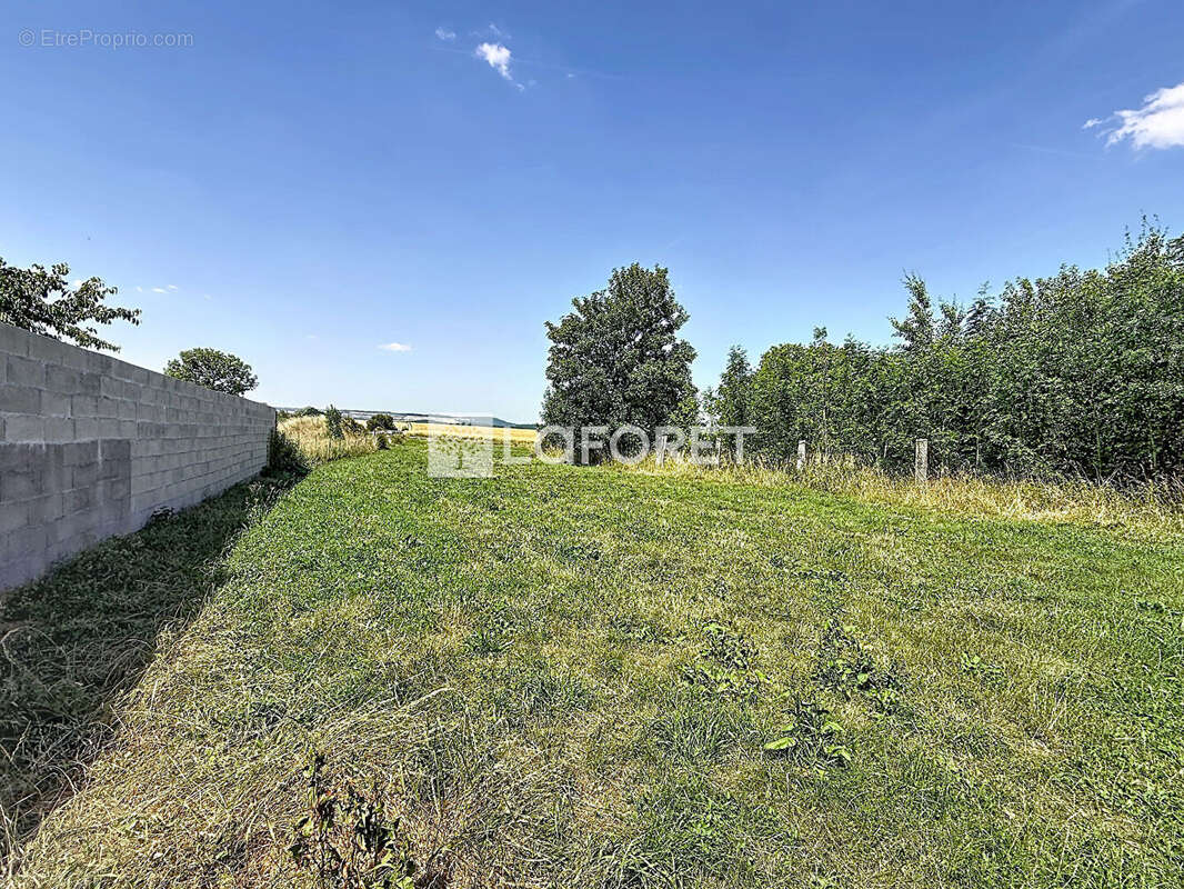 Immeuble de rapport Menil En Xaintois 16 pièce(s) 354 m2 - photo 16