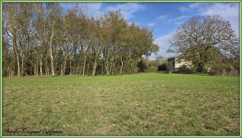 Terrain  3743 m² à vendre proche Saint jean d'Angély et proximité Surgères - photo 2