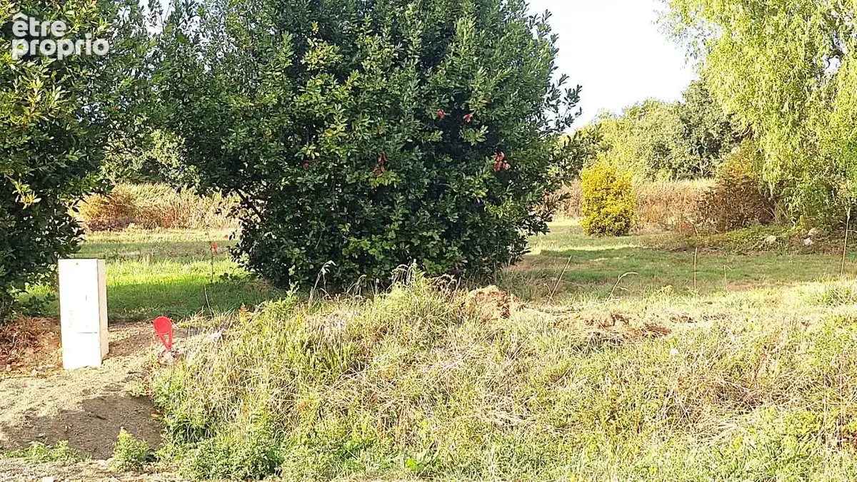 Terrain à PLELO