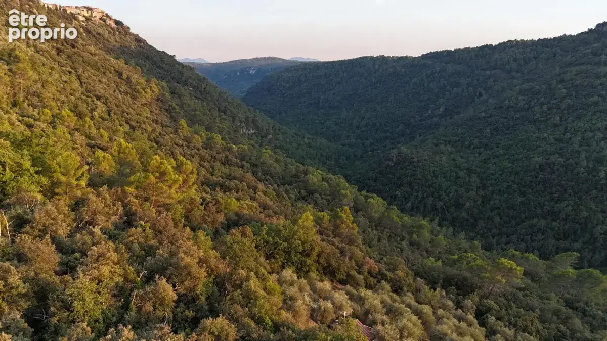 Magnifique Oliveraie et forêt avec Cabanon en vallée de la Siagne 16190 m2 - photo 2