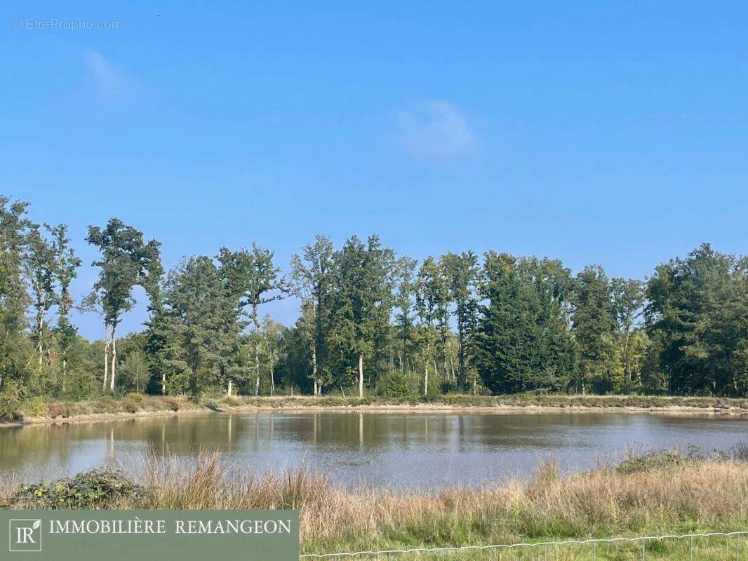 Maison à LAMOTTE-BEUVRON