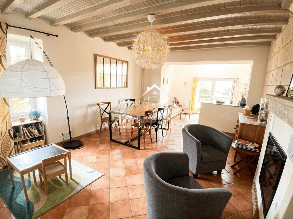 Séjour avec cheminée à granulés avec salon de 40 m2  - Maison à SAINTE-MAURE-DE-TOURAINE