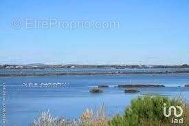 Photo 2 - Commerce à PALAVAS-LES-FLOTS