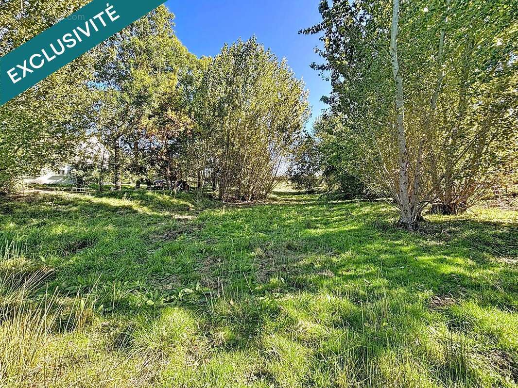 Photo 7 - Maison à LAVAUR