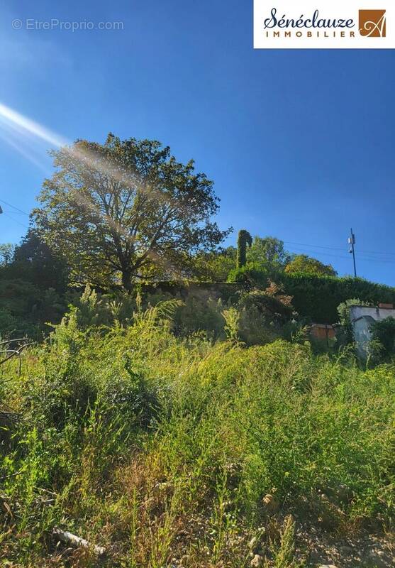 Terrain à IRIGNY
