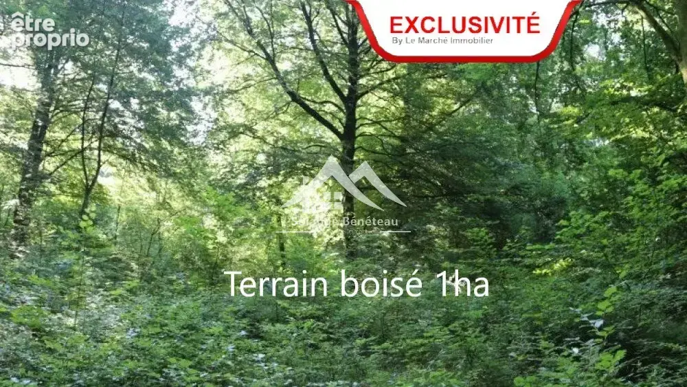 Terrain à LA REUNION