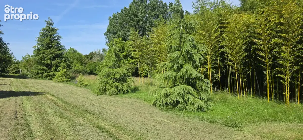 LEIGNÉ Les Bois, proche bourg - photo 3