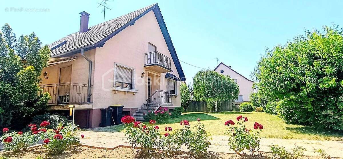 Maison à BATTENHEIM