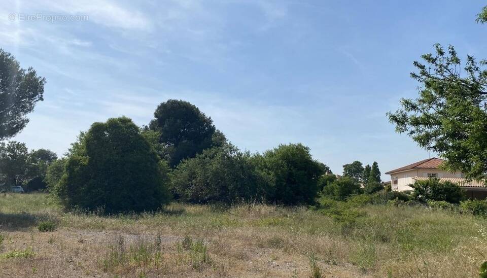 Terrain à FONTES