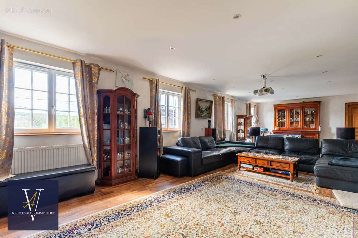 HAGENBACH - Maison de maître - 306 m2 - photo 12