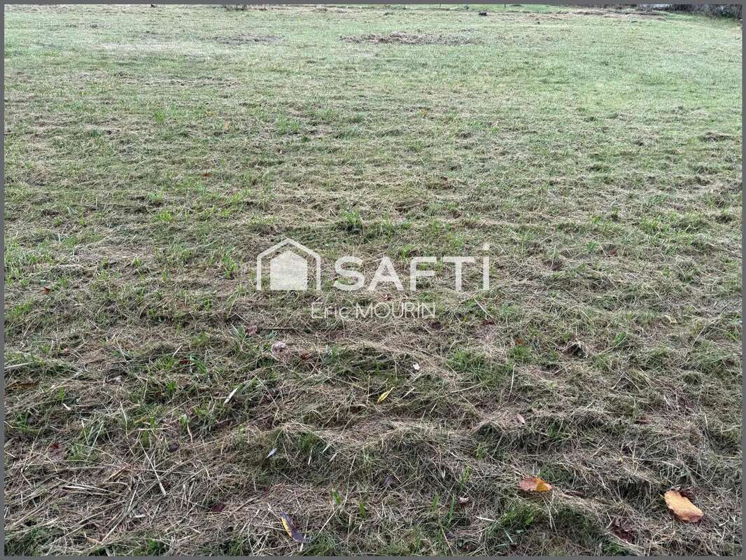 Photo 4 - Terrain à SEGRE