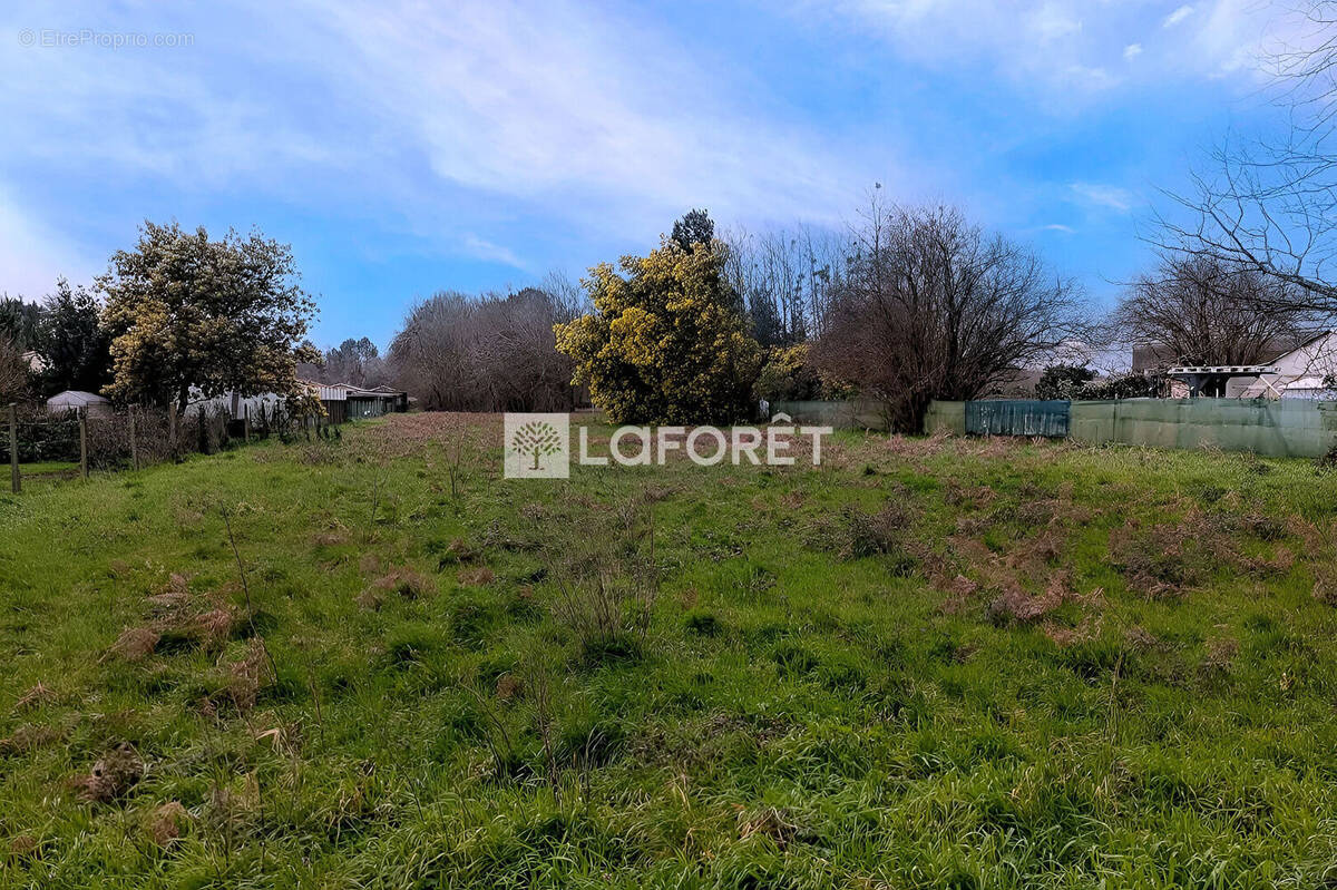 Terrain à BLAYE