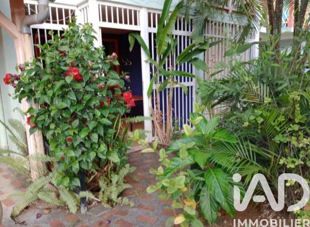 Photo 1 - Appartement à SAINTE-ANNE