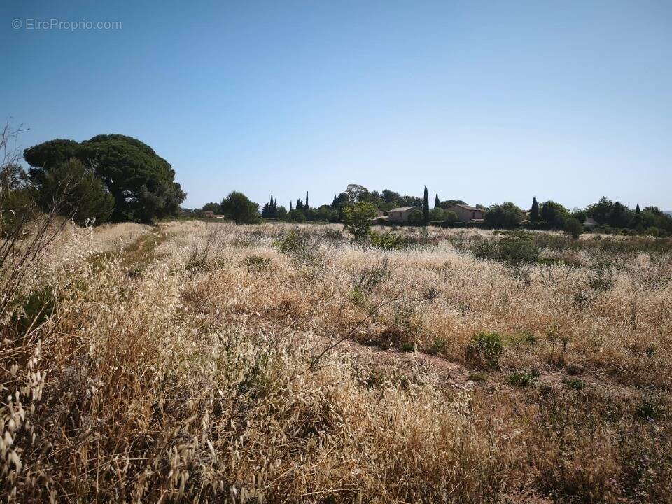 Terrain à CUERS