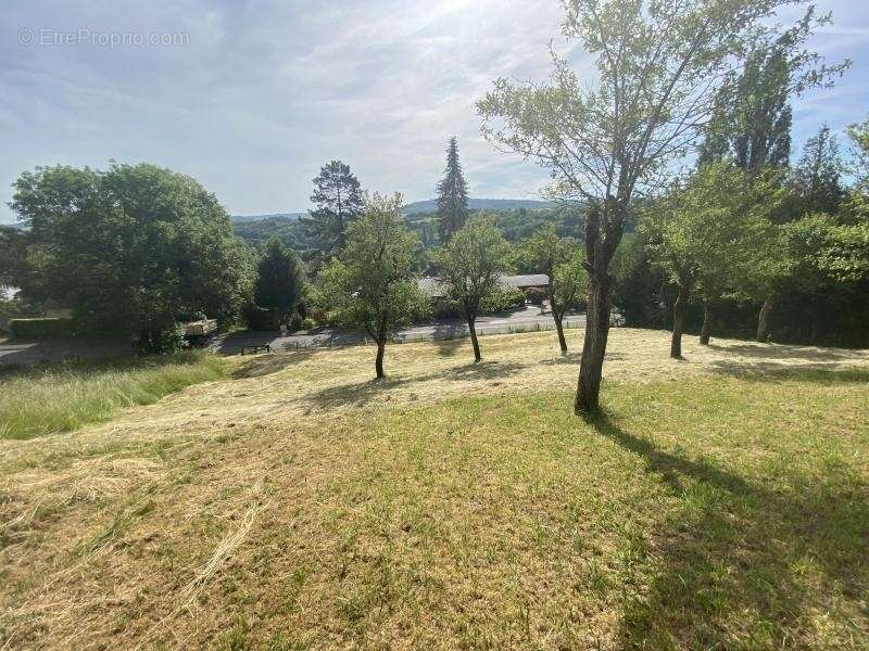 Terrain à BERG-SUR-MOSELLE