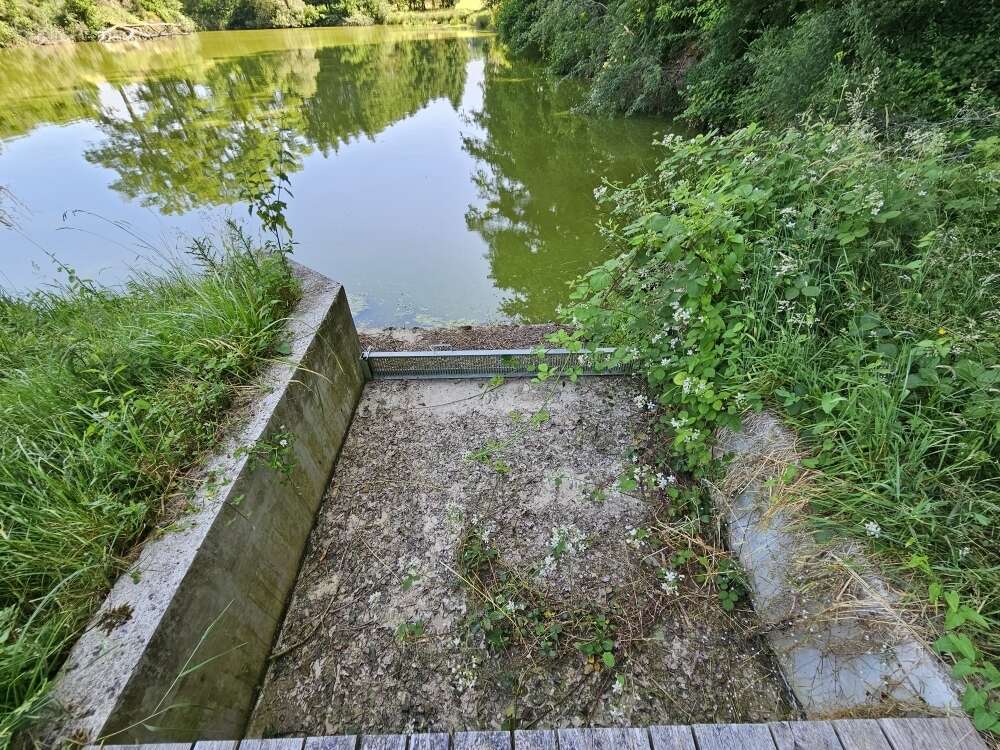 Autre à SAINT-PRIEST-LA-FEUILLE