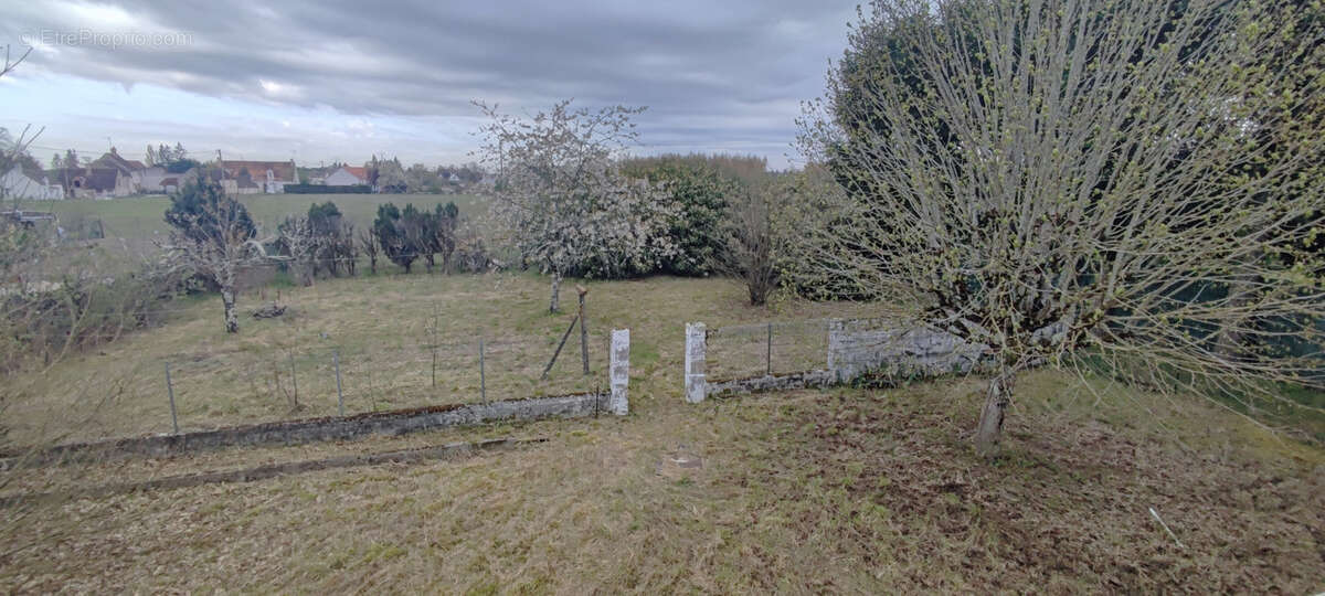 Maison à MONT-PRES-CHAMBORD