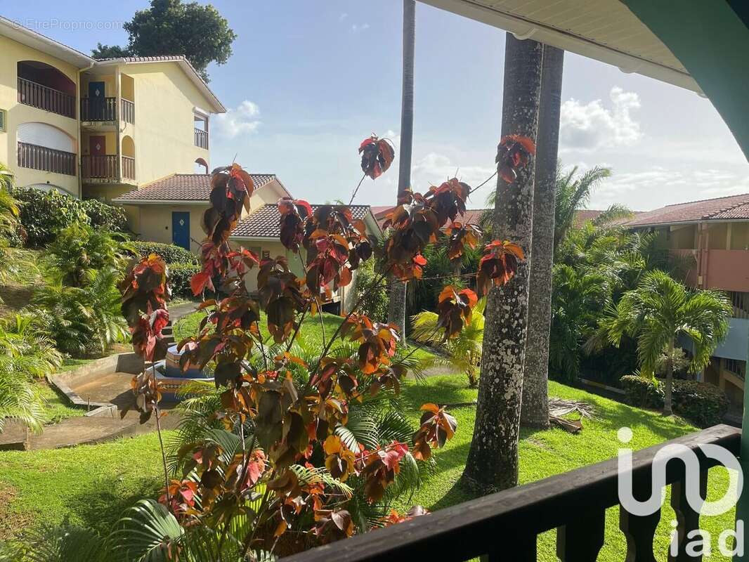 Photo 2 - Appartement à SAINTE-ANNE