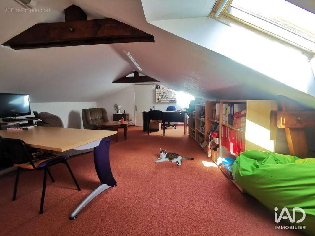 Photo 5 - Commerce à LA CHAPELLE-SUR-ERDRE