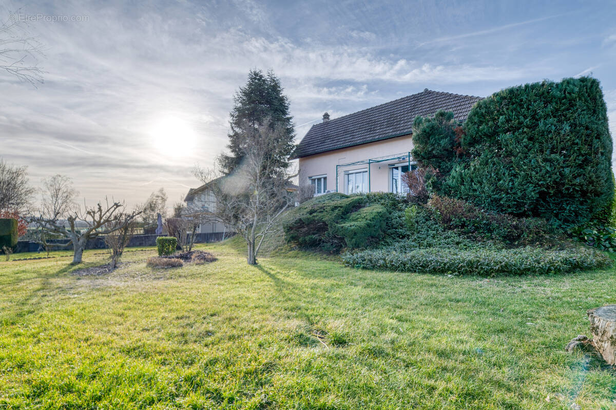 Maison à TIGNIEU-JAMEYZIEU